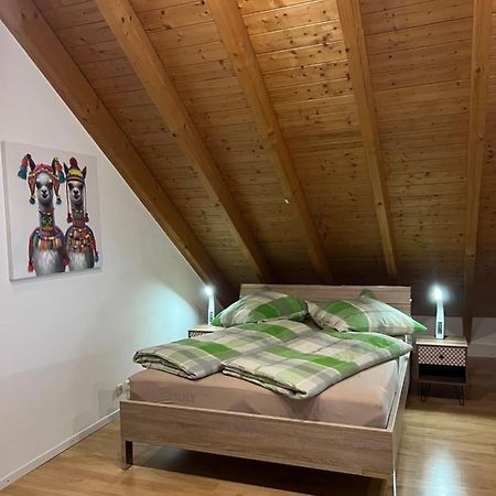 Ferienwohnung Zentral In Loerrach - Konus Gaestekarte Inklusive ภายนอก รูปภาพ