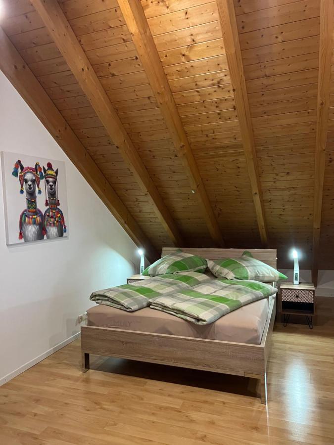 Ferienwohnung Zentral In Loerrach - Konus Gaestekarte Inklusive ภายนอก รูปภาพ